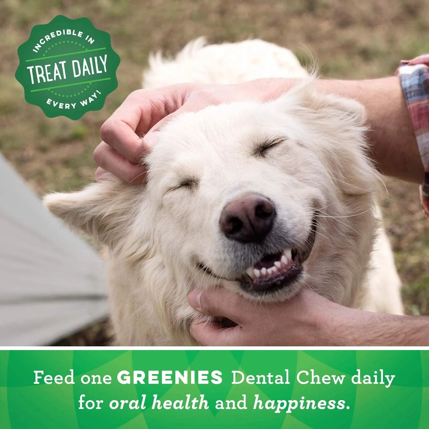 Original Large Natural Dental Care Dog Treats, 6 Oz. Pouch (4 Treats)
