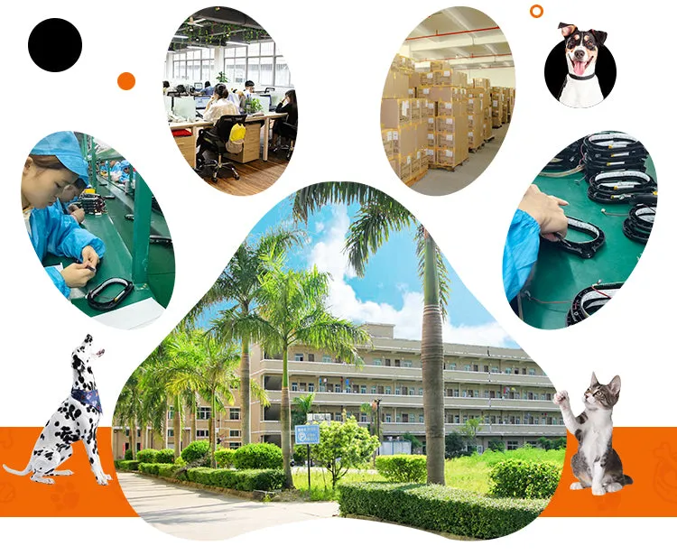 PAWS ASIA AliExpress Best Sale Eco Friendly Vinyl  Feeder Leak Food Ball Dog Treat Toy Pet