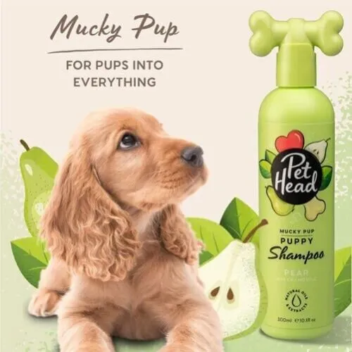 Pet Head Mucky Puppy Shampoo, 16 oz