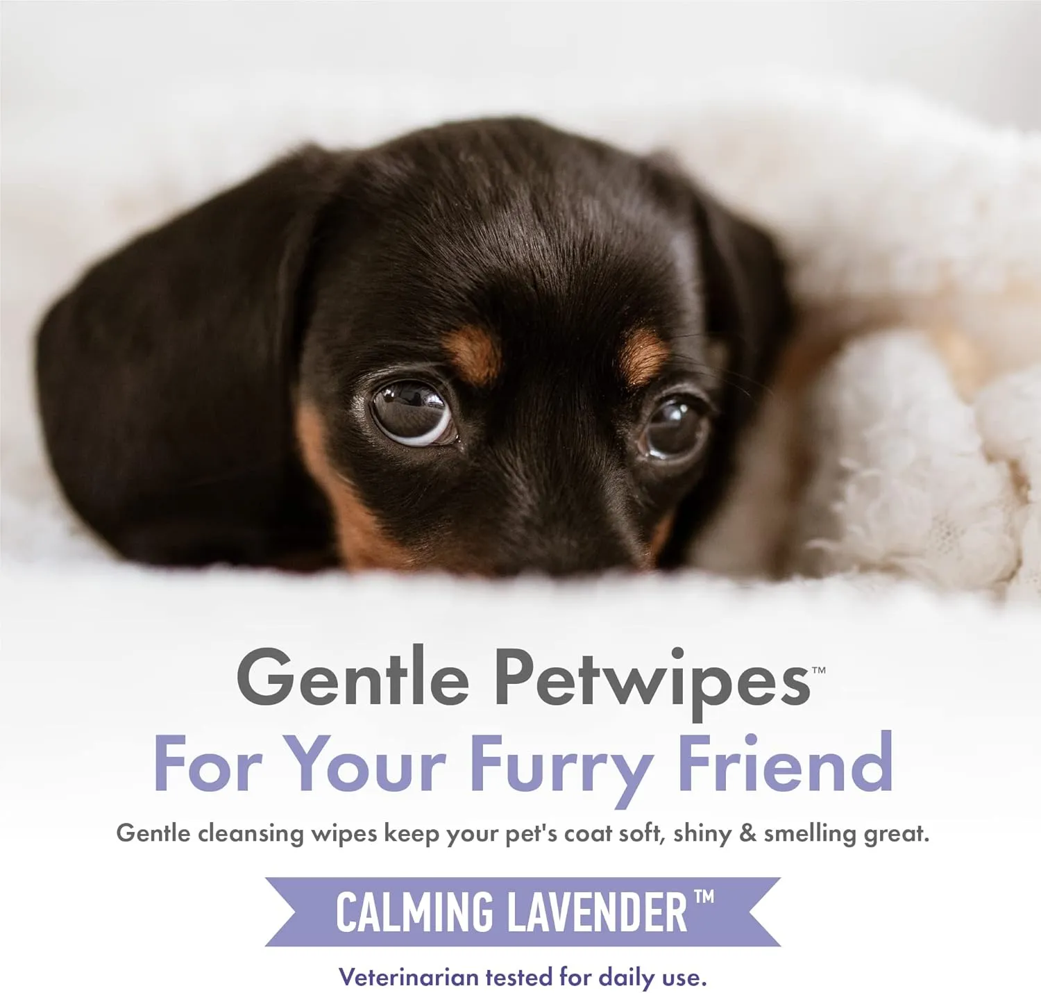 Petkin Hemp Pet Wipes for Dogs and Cats - with Hemp Oil & Calming Lavender Scent, 200 Count - Soothes, Calms & Conditions - Wipes for Pet's Face, Eyes and Body - for Home or Travel