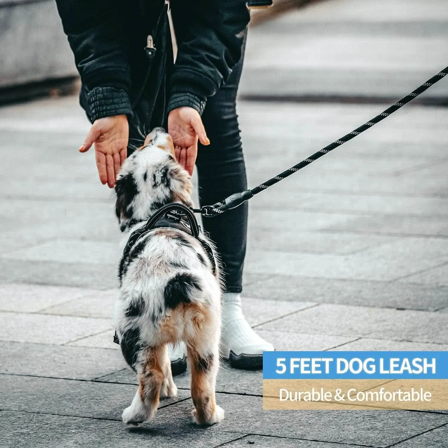 Premium Reflective Dog Leash - Available in 5ft Length and Multiple Colors with Padded Handle
