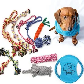 Ranphykx Dog Puppy Toys 11 Pack, Dog Rope Toys Puppy Chew Toys for Playtime Puppy Teething Toys, Dog Flying Disc, Washable Cotton Rope