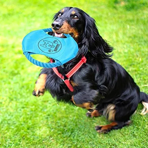Ranphykx Dog Puppy Toys 11 Pack, Dog Rope Toys Puppy Chew Toys for Playtime Puppy Teething Toys, Dog Flying Disc, Washable Cotton Rope