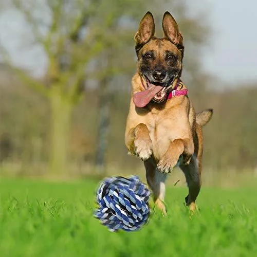 Ranphykx Dog Puppy Toys 11 Pack, Dog Rope Toys Puppy Chew Toys for Playtime Puppy Teething Toys, Dog Flying Disc, Washable Cotton Rope