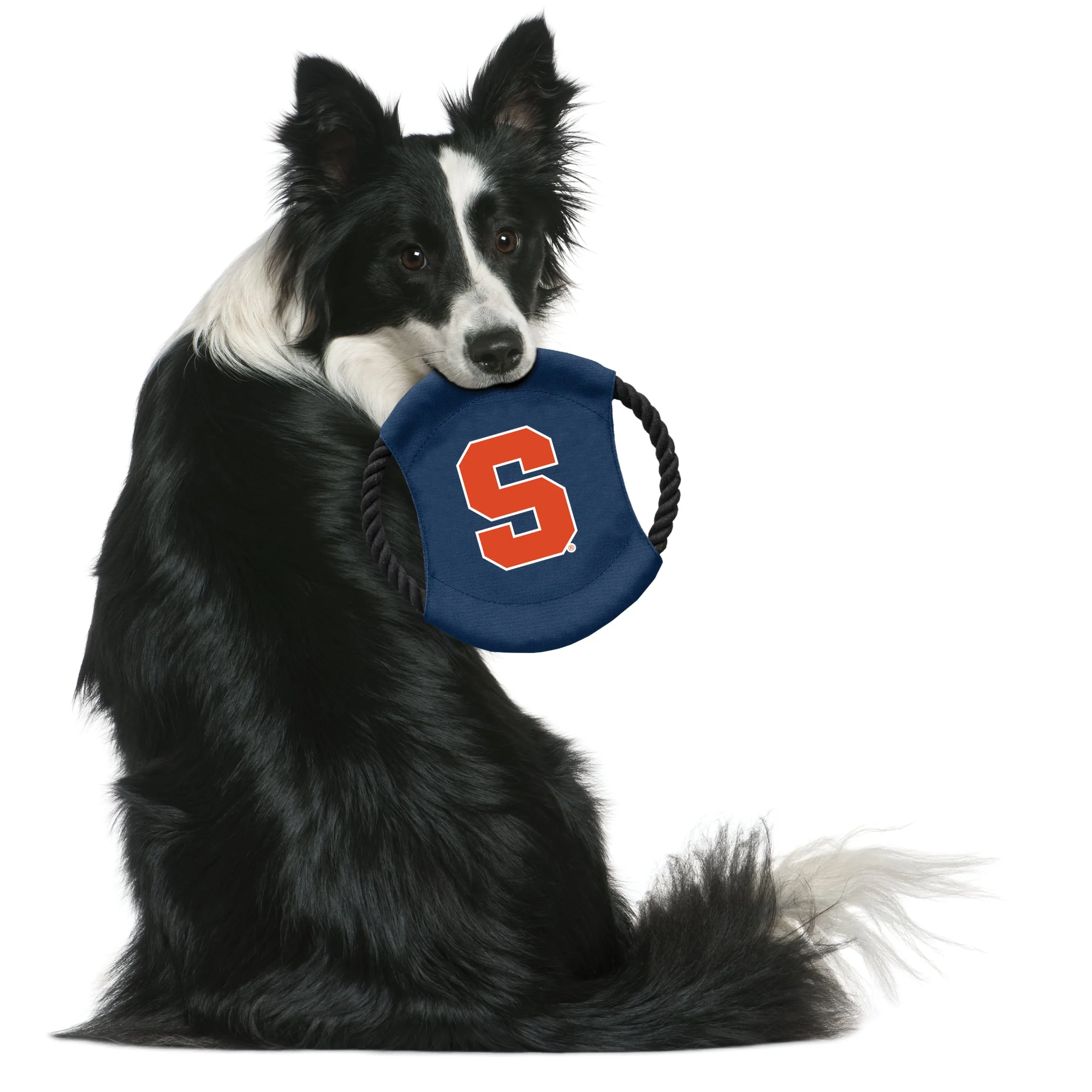 Syracuse University Team Flying Disc Pet Toy