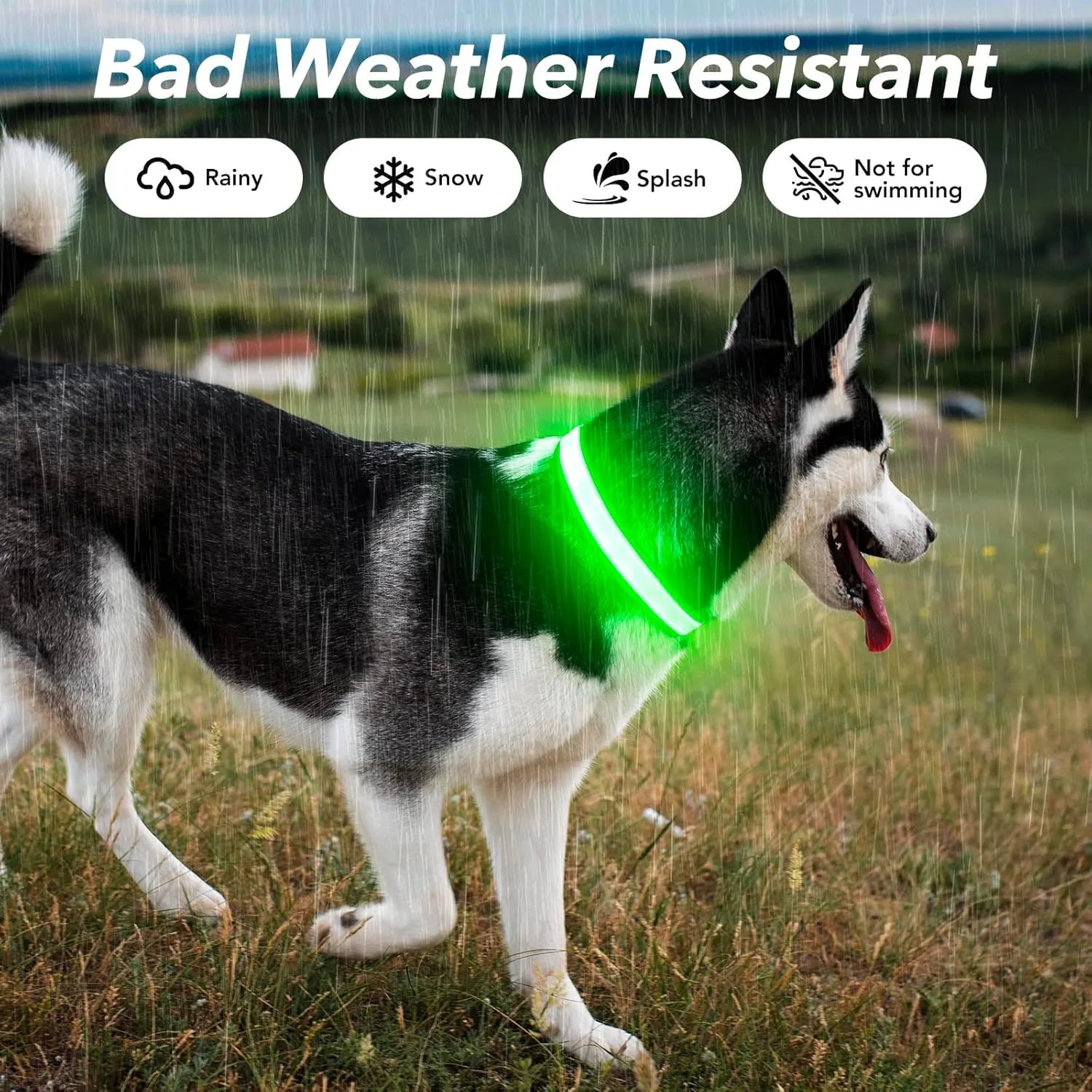 Visinite Light Up Dog Collar, Reflective LED Dog Collar, Adjustable Lighted Dog Collars Rechargeable Waterproof, Bright Dog Glow Collar for Pet Safety at Night Walking, Fit Large Medium Dogs