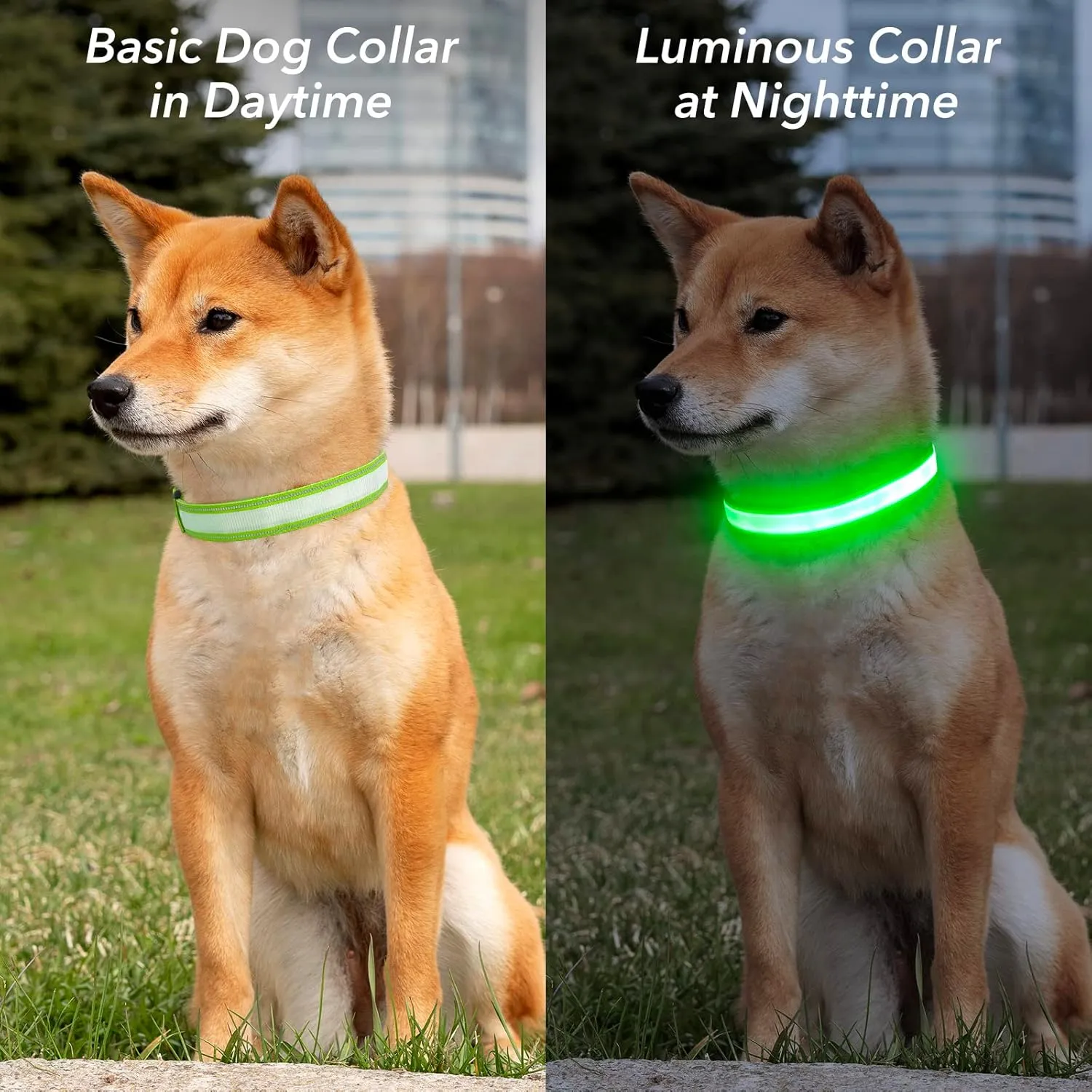 Visinite Light Up Dog Collar, Reflective LED Dog Collar, Adjustable Lighted Dog Collars Rechargeable Waterproof, Bright Dog Glow Collar for Pet Safety at Night Walking, Fit Large Medium Dogs
