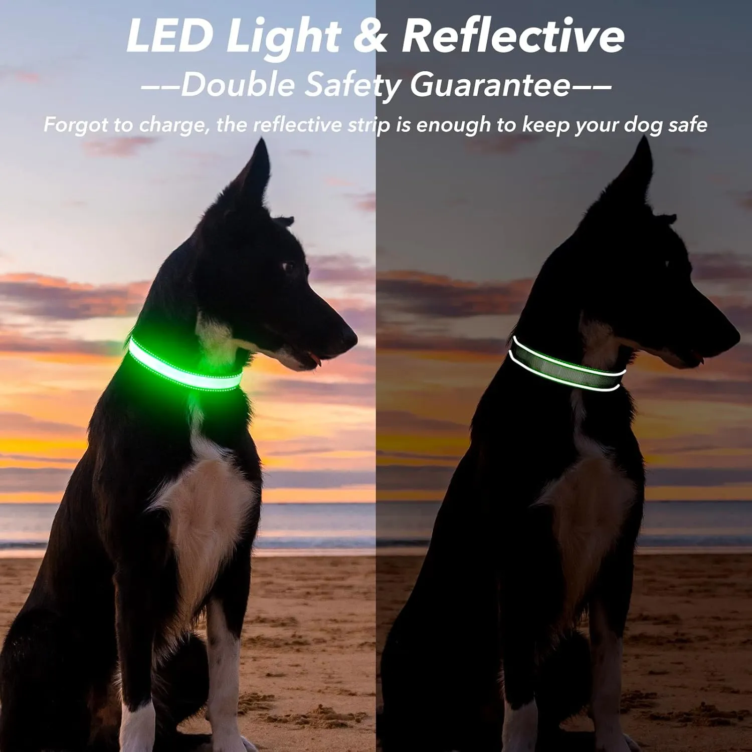 Visinite Light Up Dog Collar, Reflective LED Dog Collar, Adjustable Lighted Dog Collars Rechargeable Waterproof, Bright Dog Glow Collar for Pet Safety at Night Walking, Fit Large Medium Dogs