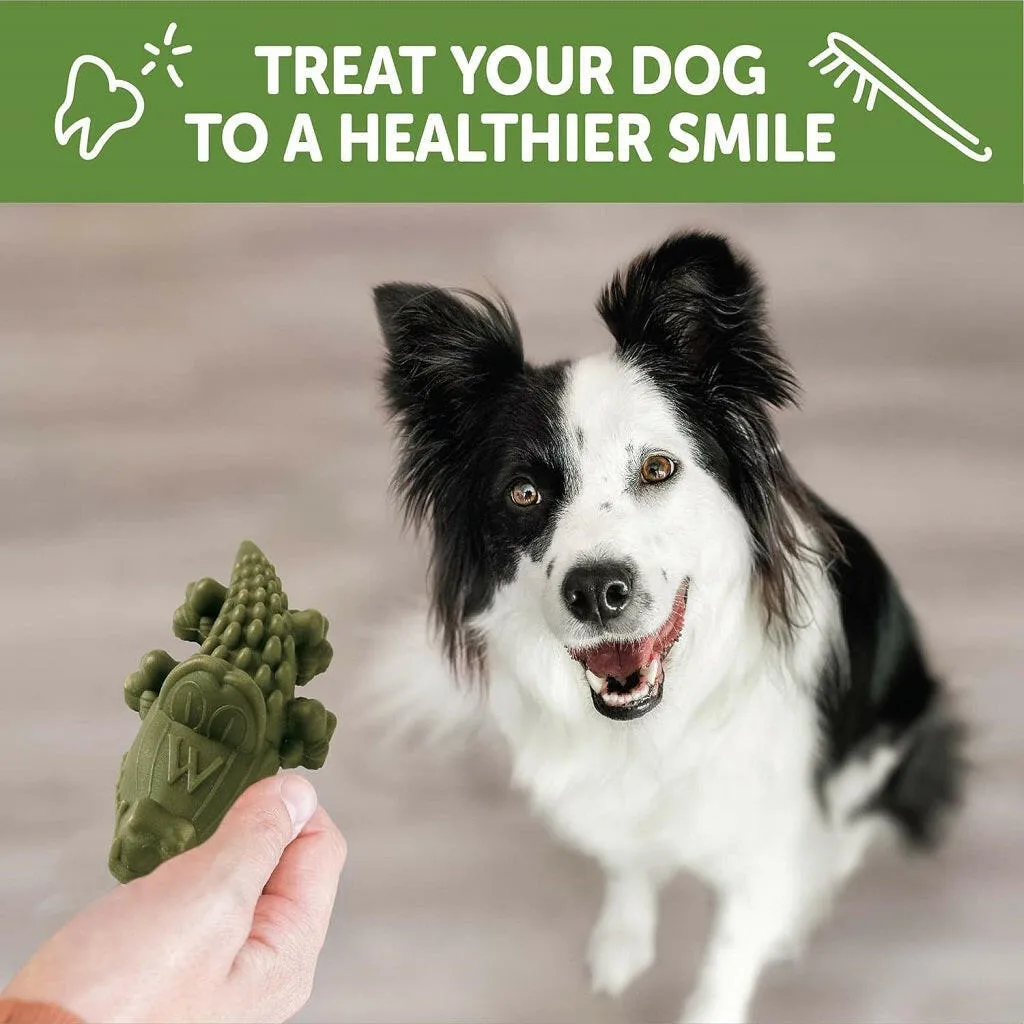 WHIMZEES by Wellness Alligator Natural Grain Free Dental Chews For Medium Dogs (12 pc)