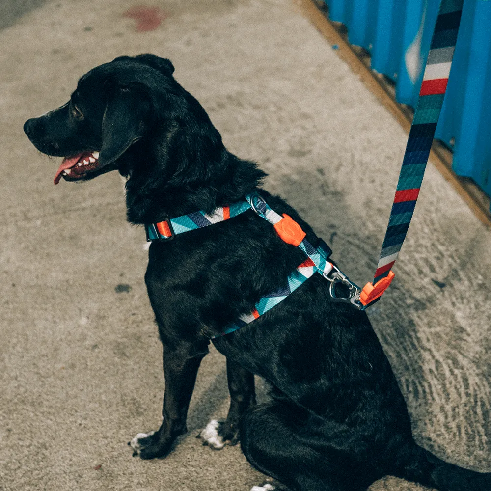 Zee.Dog Ella H-Harness