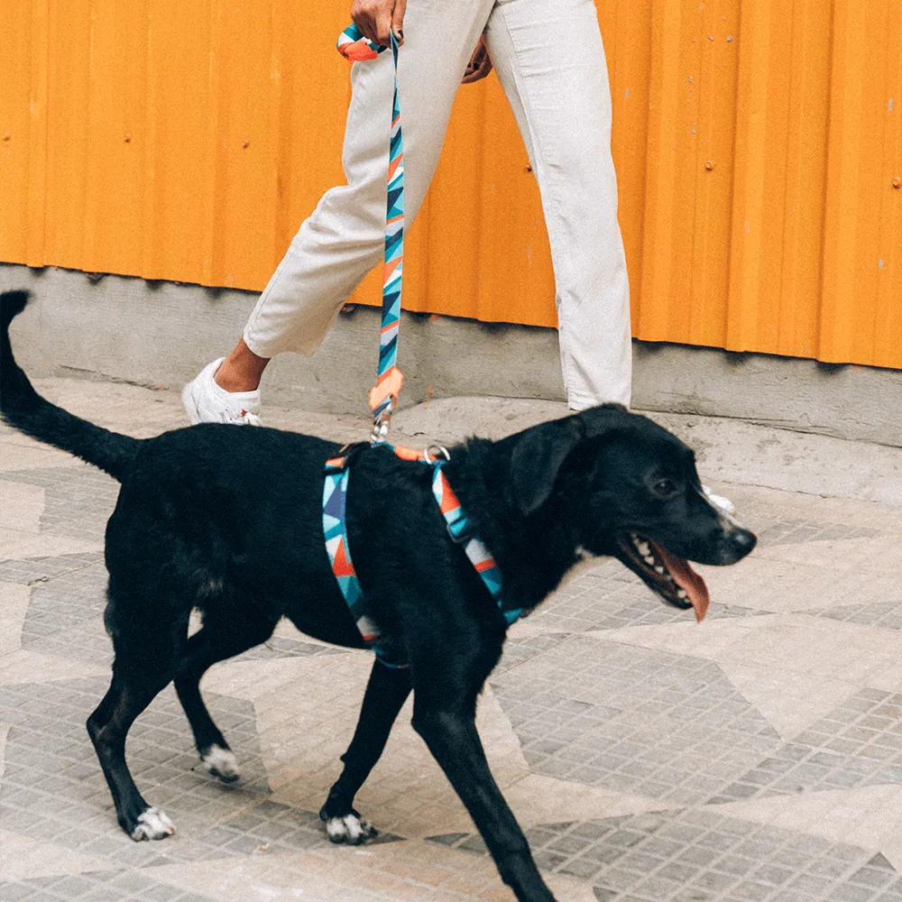 Zee.Dog Ella H-Harness
