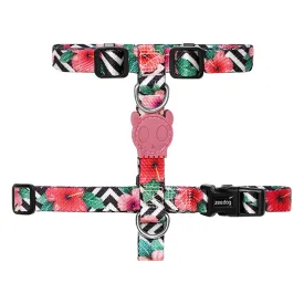 Zee.Dog Mahalo H-Harness