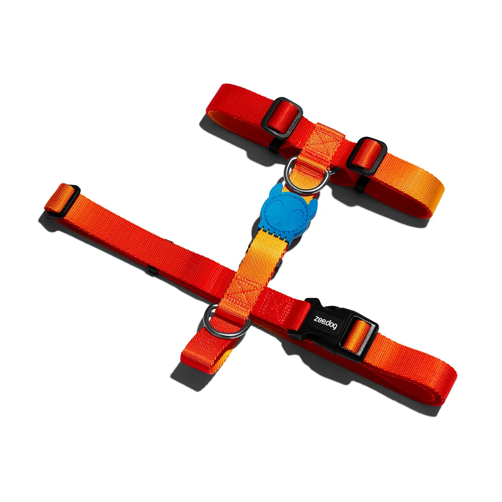 Zee.Dog Solaris H-Harness