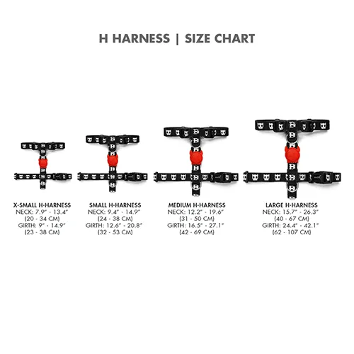 Zee.Dog Yansun H-Harness